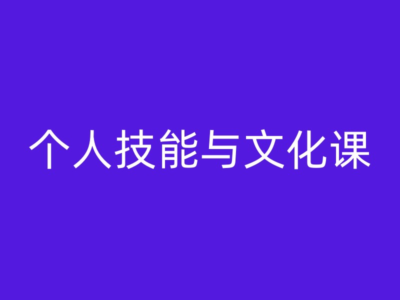 个人技能与文化课