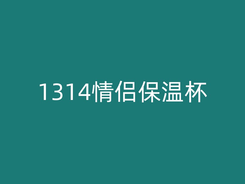 1314情侣保温杯