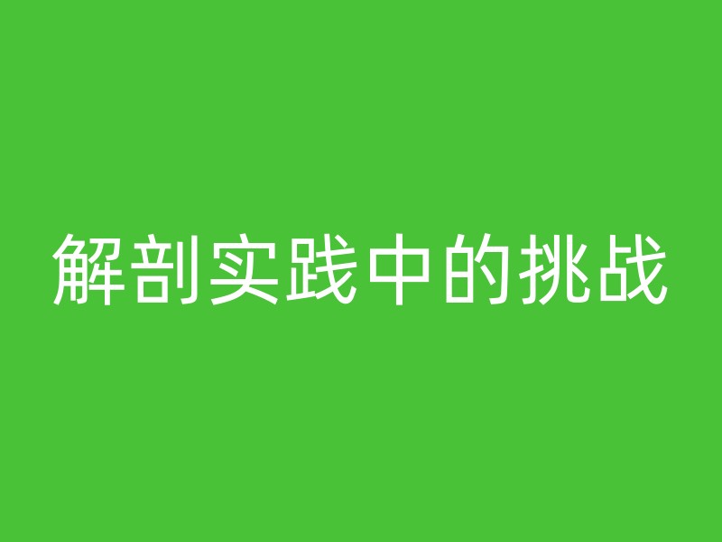 解剖实践中的挑战