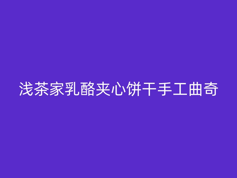 浅茶家乳酪夹心饼干手工曲奇