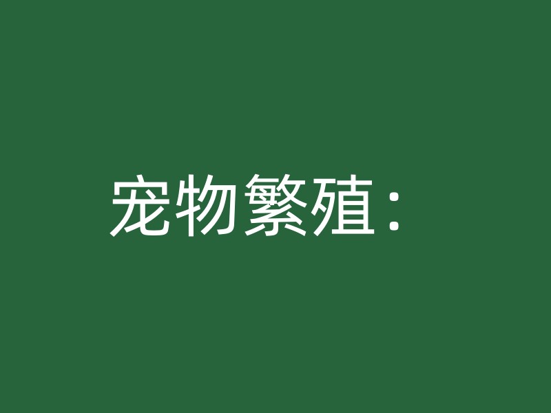 宠物繁殖：