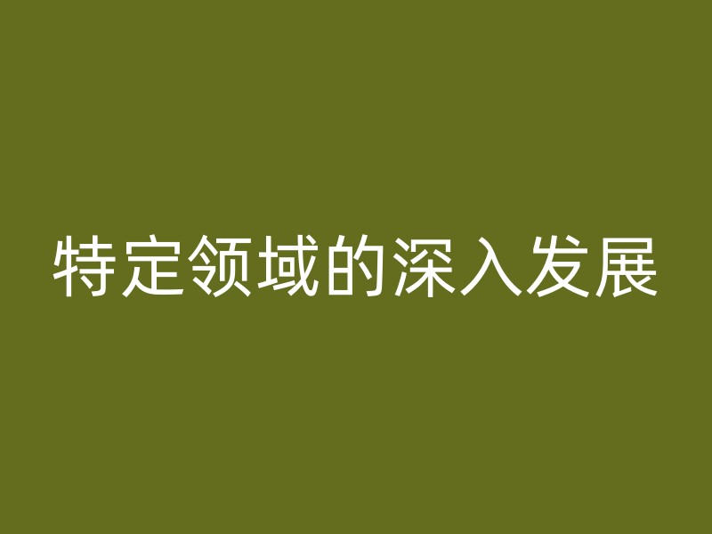 特定领域的深入发展