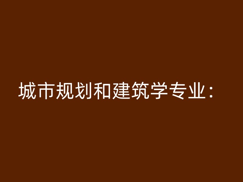 城市规划和建筑学专业：