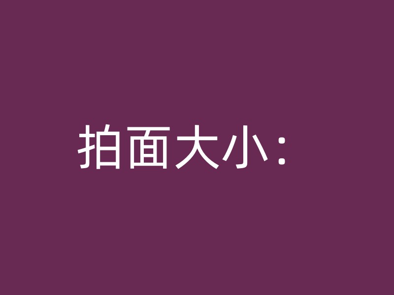 拍面大小：