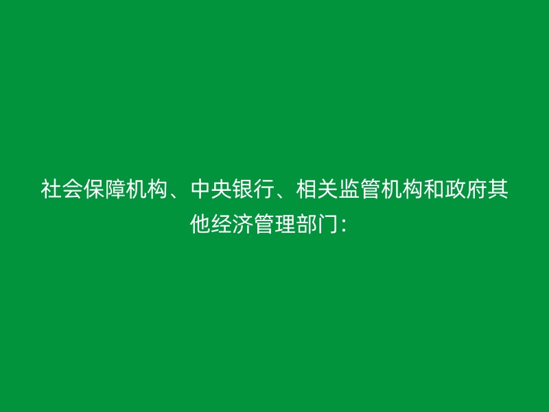 社会保障机构、中央银行、相关监管机构和政府其他经济管理部门：