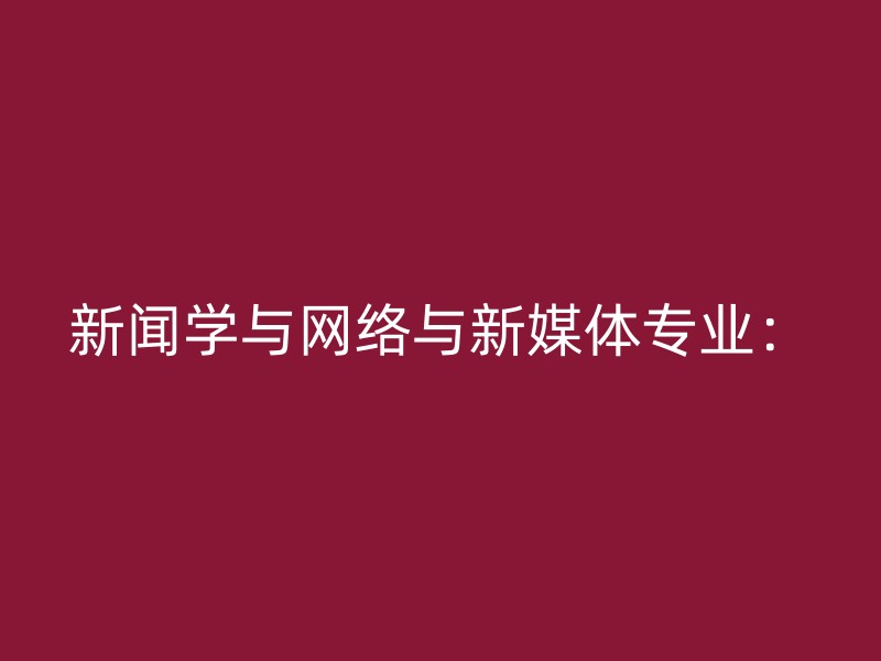 新闻学与网络与新媒体专业：