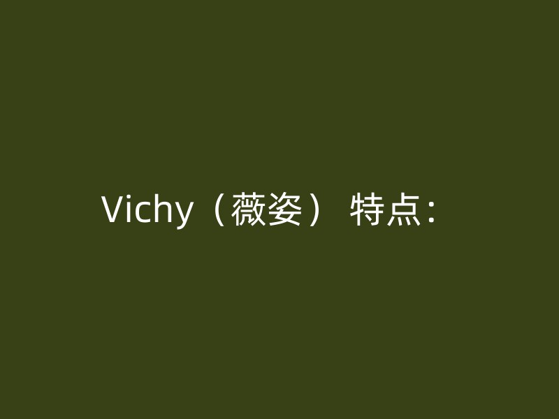 Vichy（薇姿） 特点：