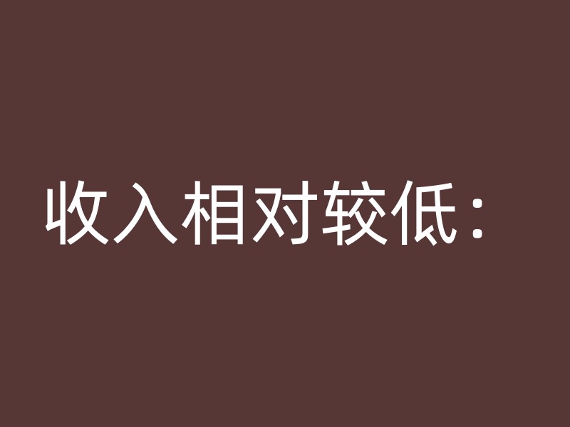 收入相对较低：