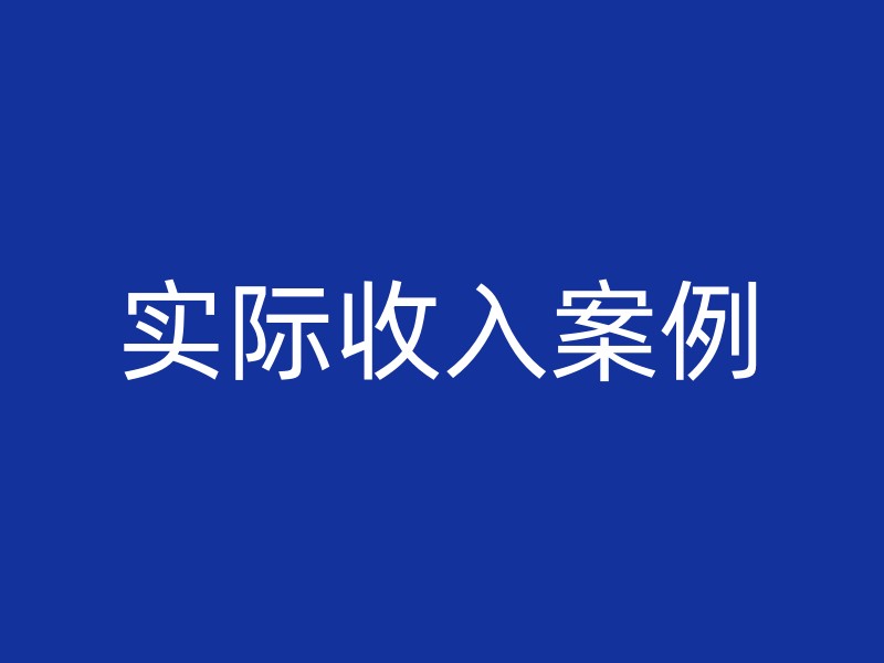 实际收入案例