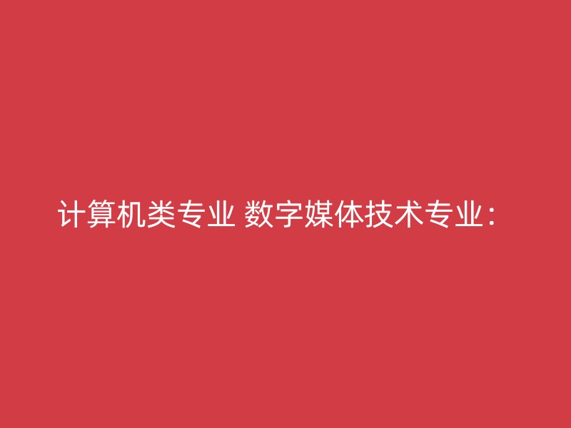 计算机类专业 数字媒体技术专业：