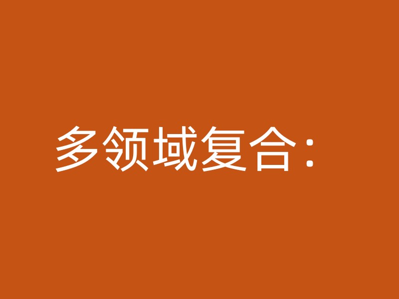 多领域复合：