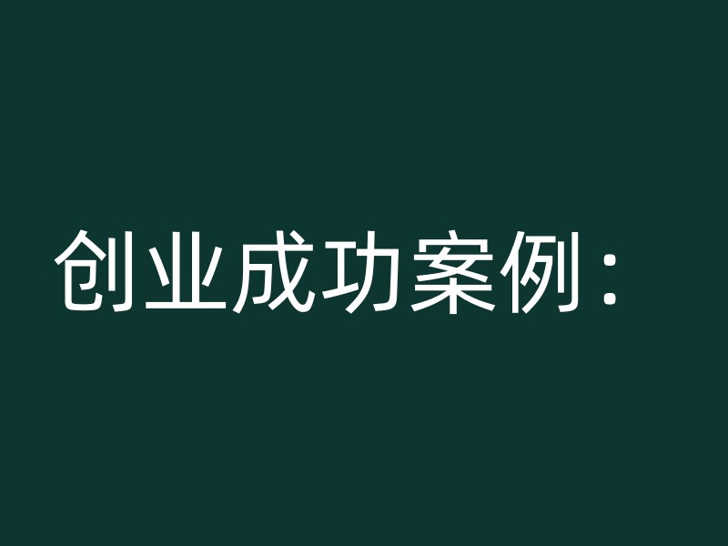 创业成功案例：