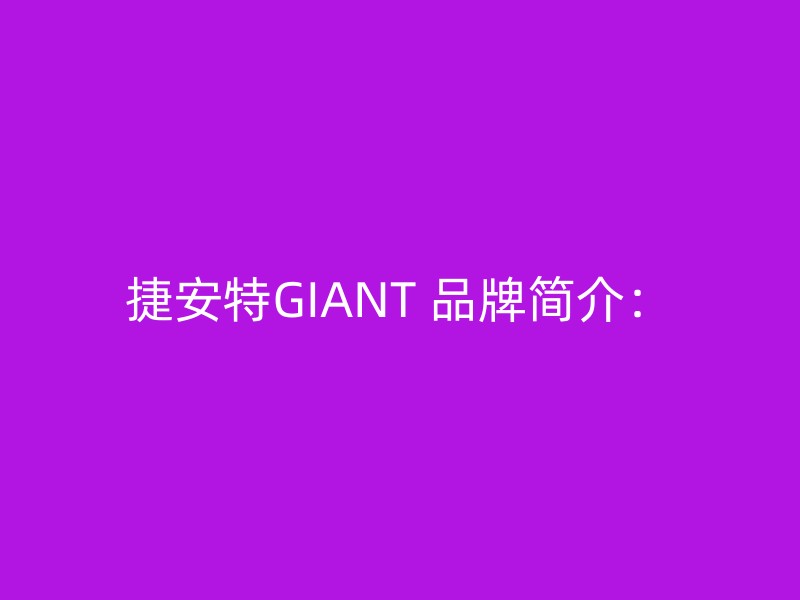 捷安特GIANT 品牌简介：