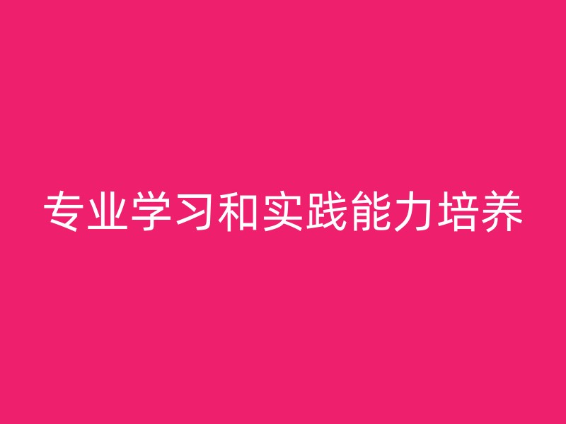 专业学习和实践能力培养