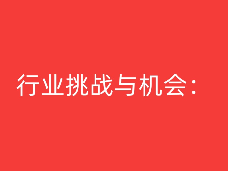 行业挑战与机会：