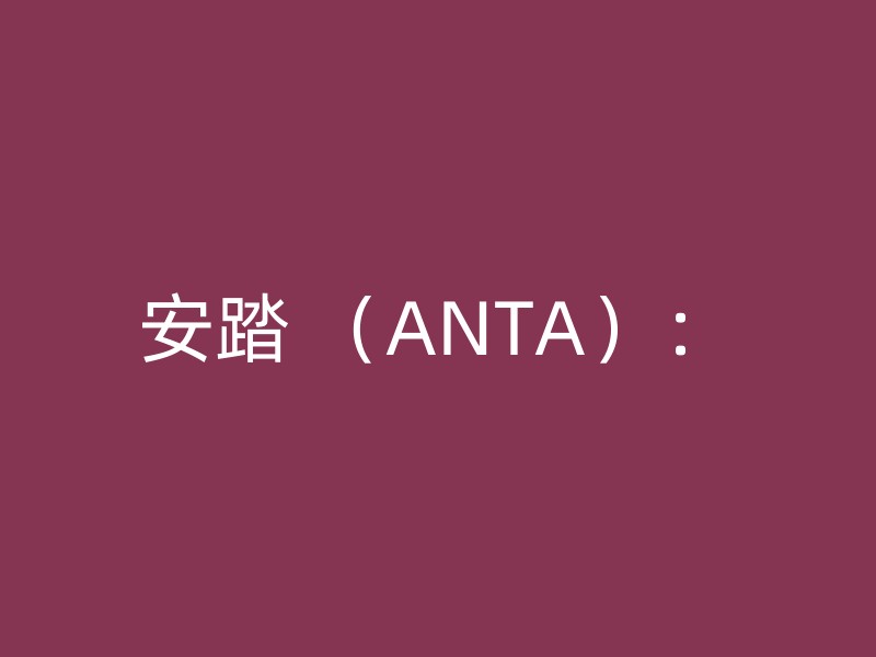 安踏 （ANTA）：