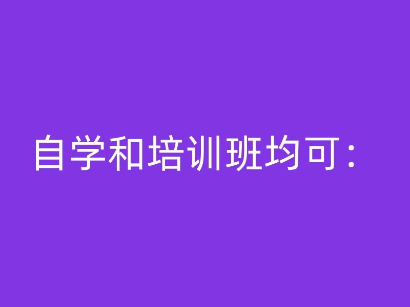 自学和培训班均可：