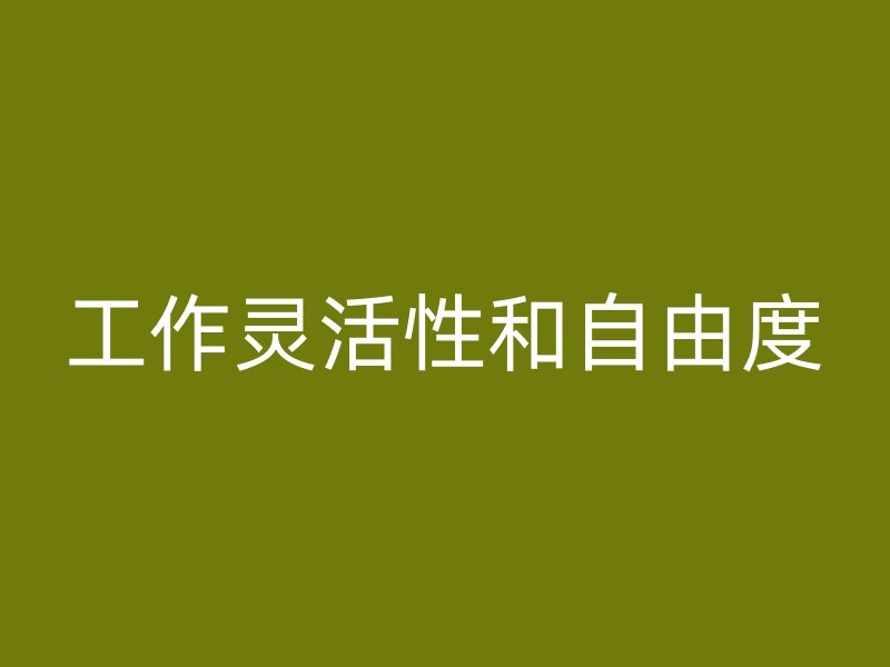 工作灵活性和自由度