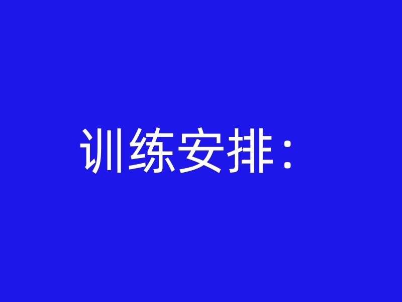 训练安排：