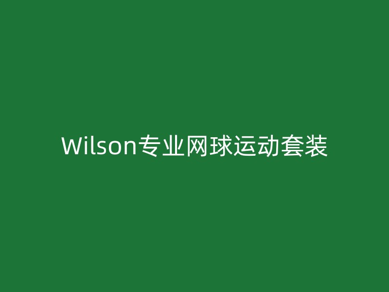 Wilson专业网球运动套装