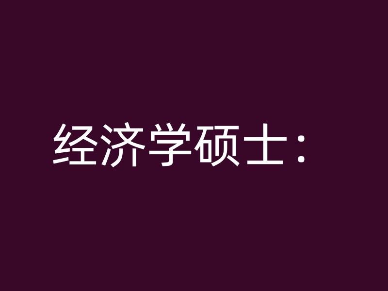 经济学硕士：