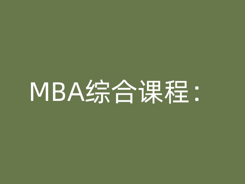 MBA综合课程：