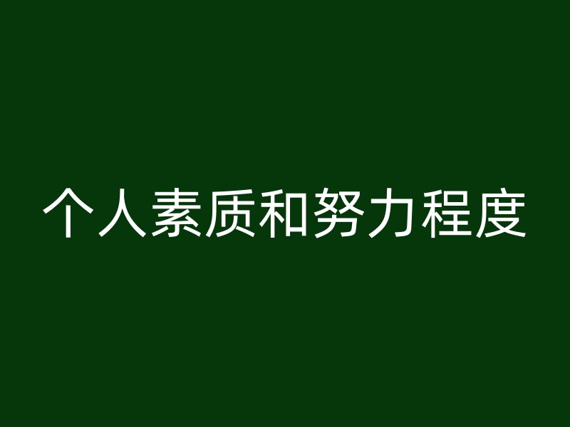 个人素质和努力程度