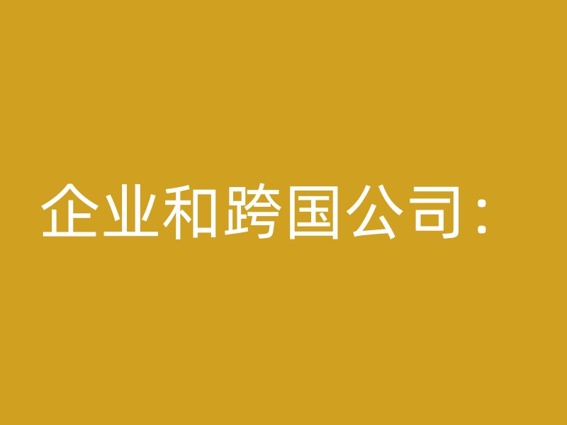 企业和跨国公司：