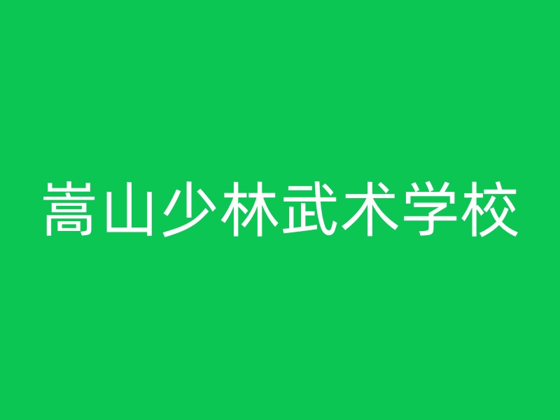 嵩山少林武术学校