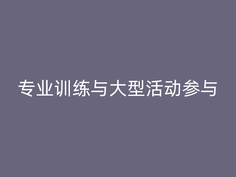 专业训练与大型活动参与