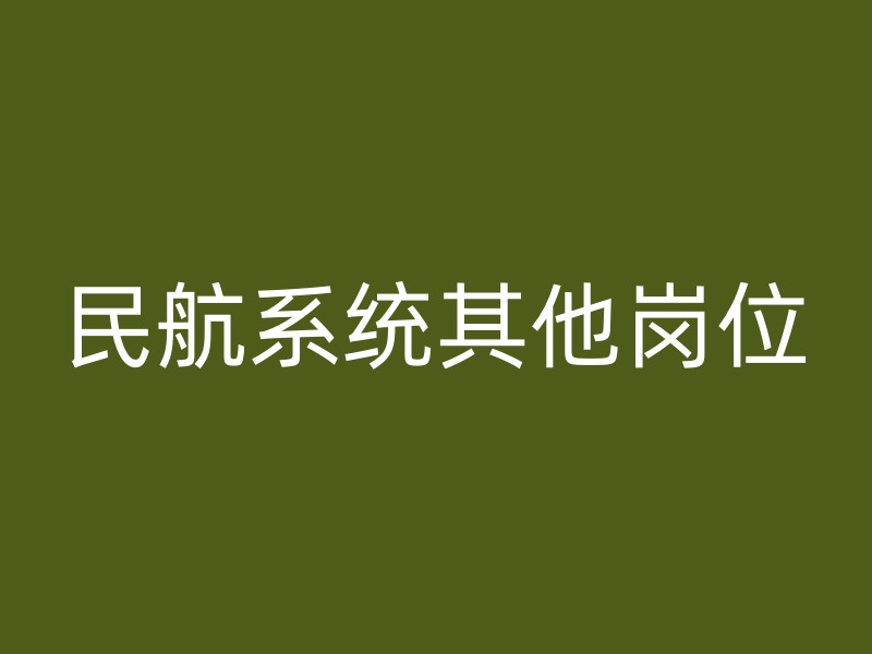 民航系统其他岗位