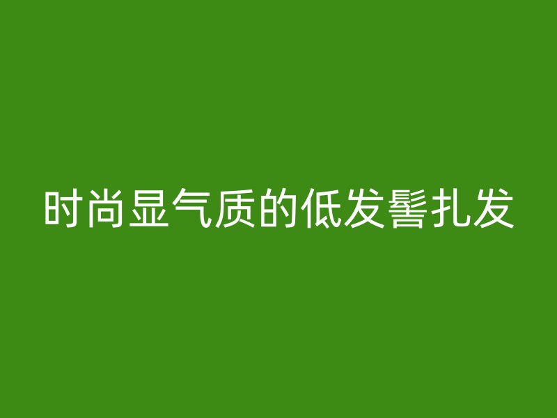 时尚显气质的低发髻扎发