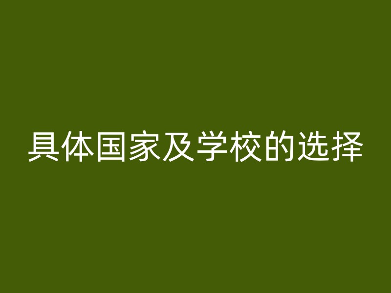 具体国家及学校的选择