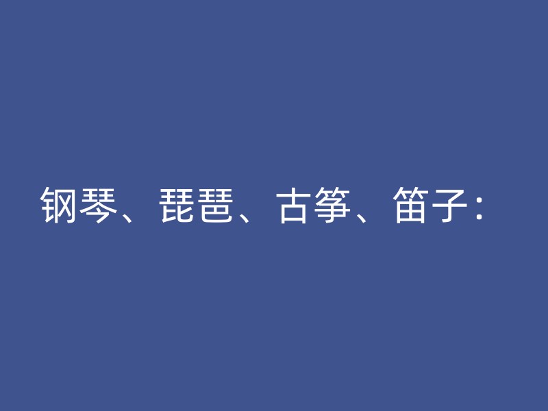 钢琴、琵琶、古筝、笛子：