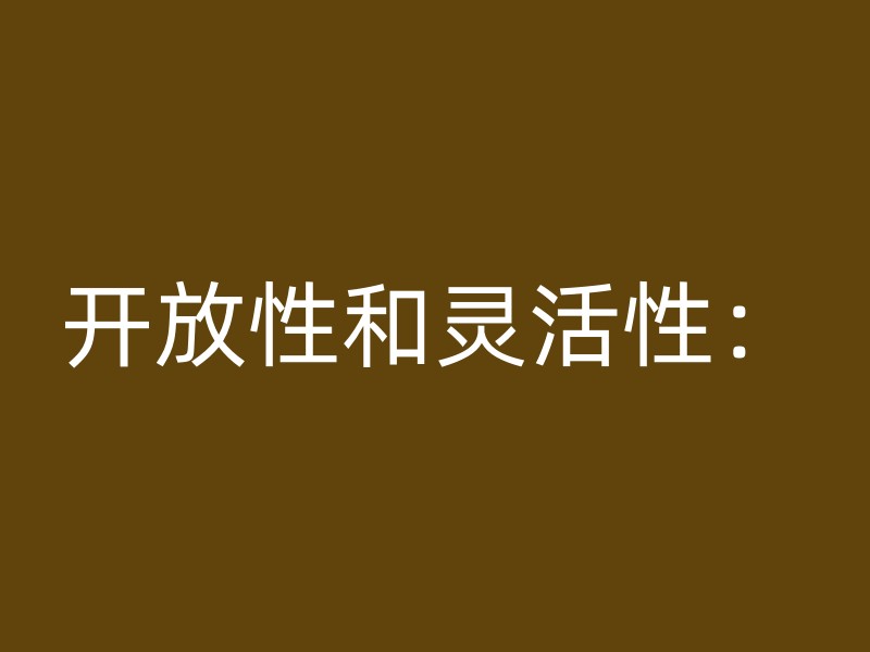 开放性和灵活性：