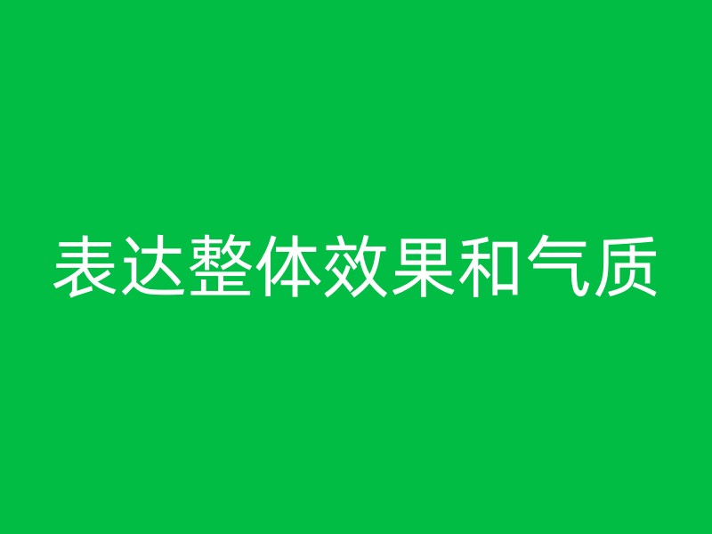 表达整体效果和气质