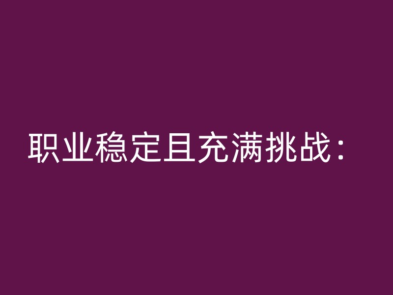 职业稳定且充满挑战：