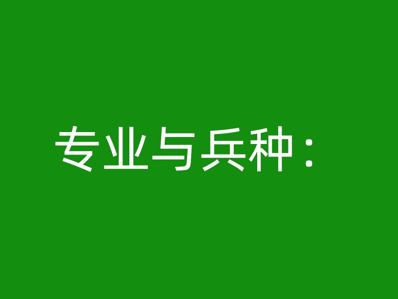 专业与兵种：