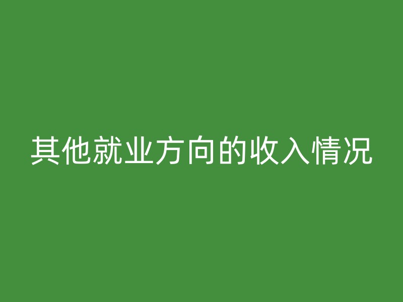 其他就业方向的收入情况