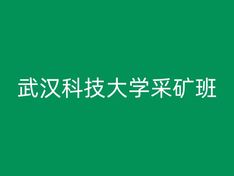 武汉科技大学采矿班