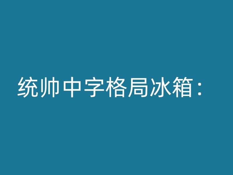 统帅中字格局冰箱：