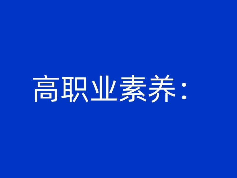 高职业素养：