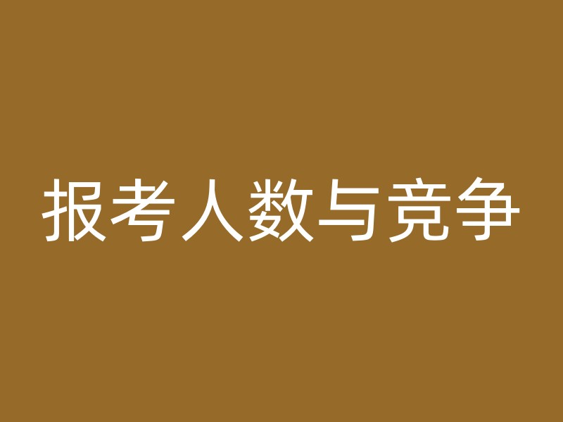 报考人数与竞争