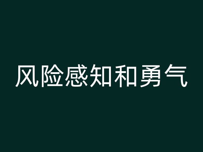 风险感知和勇气