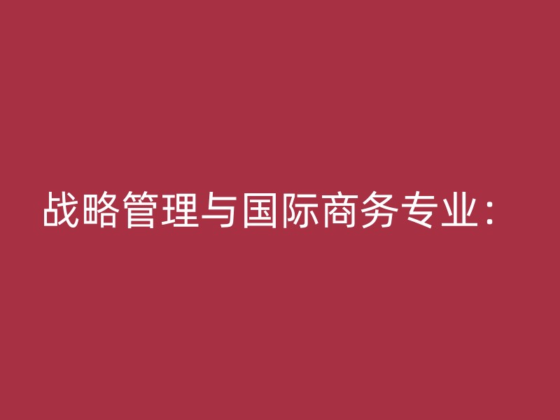 战略管理与国际商务专业：