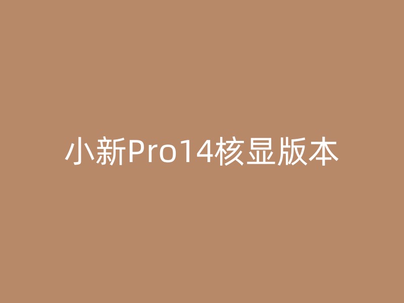 小新Pro14核显版本