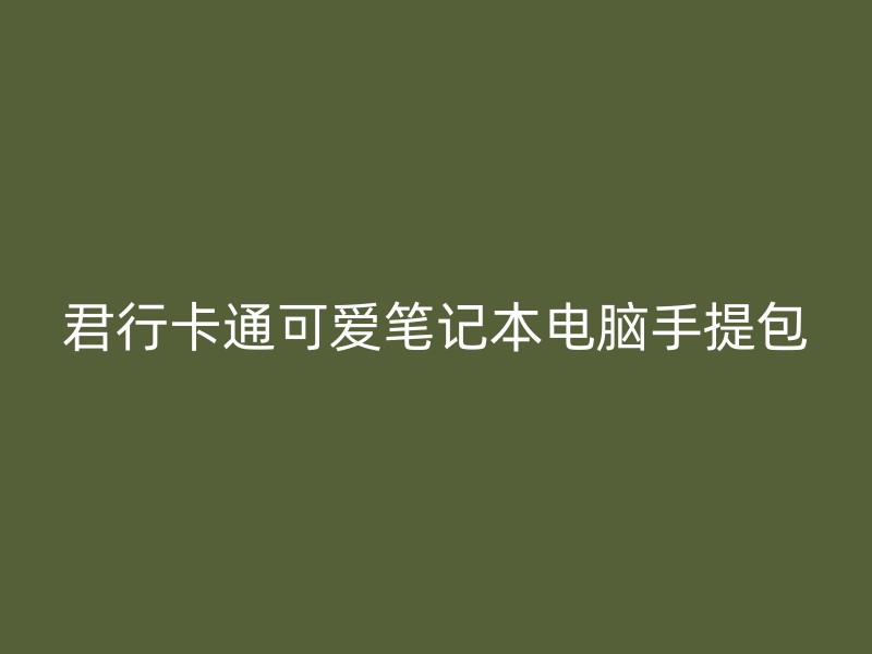 君行卡通可爱笔记本电脑手提包