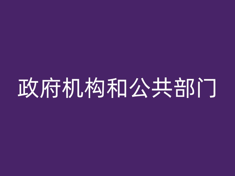 政府机构和公共部门