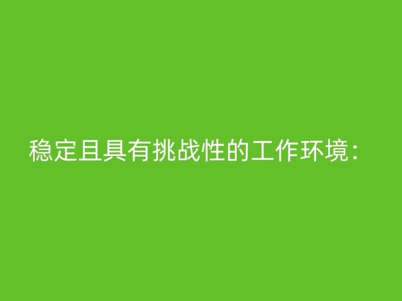 稳定且具有挑战性的工作环境：