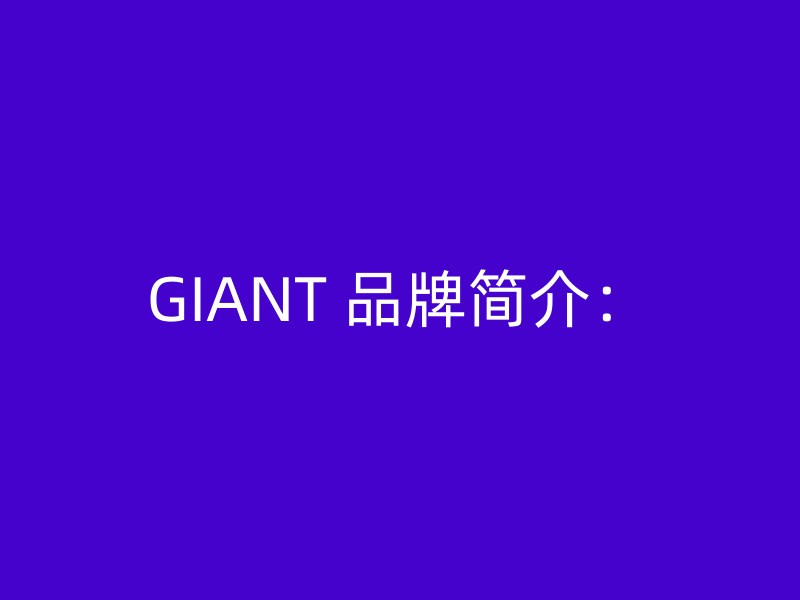 GIANT 品牌简介：